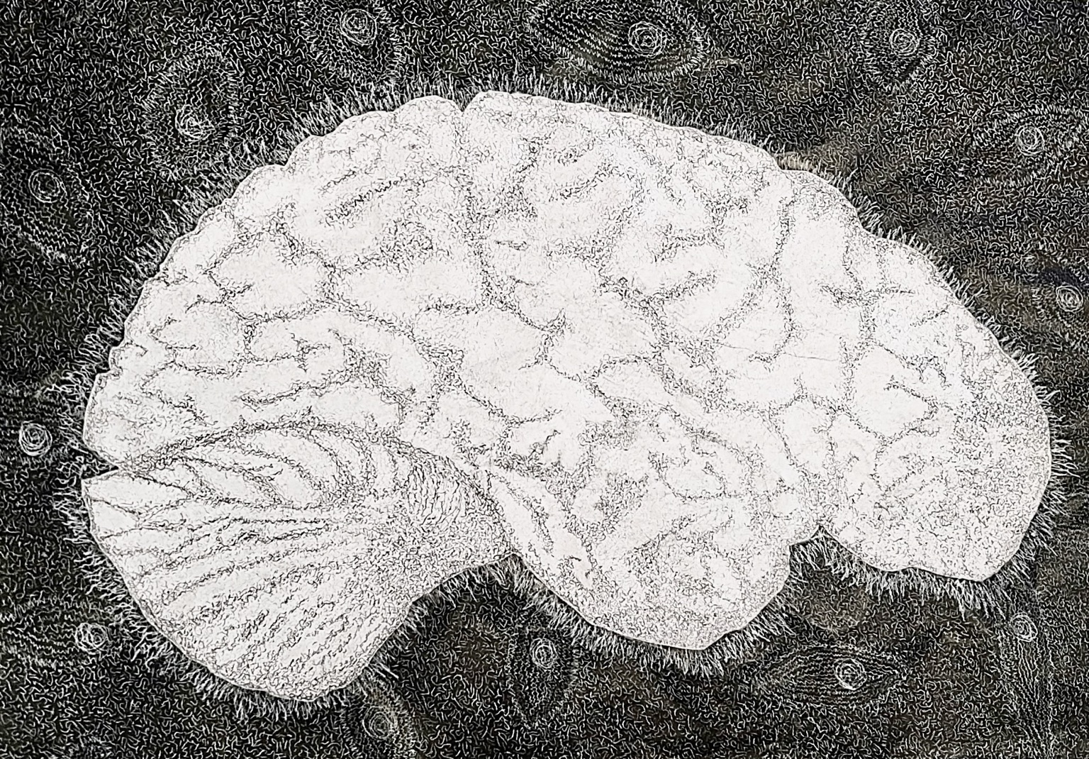 Artwork by Toddmary Bërn